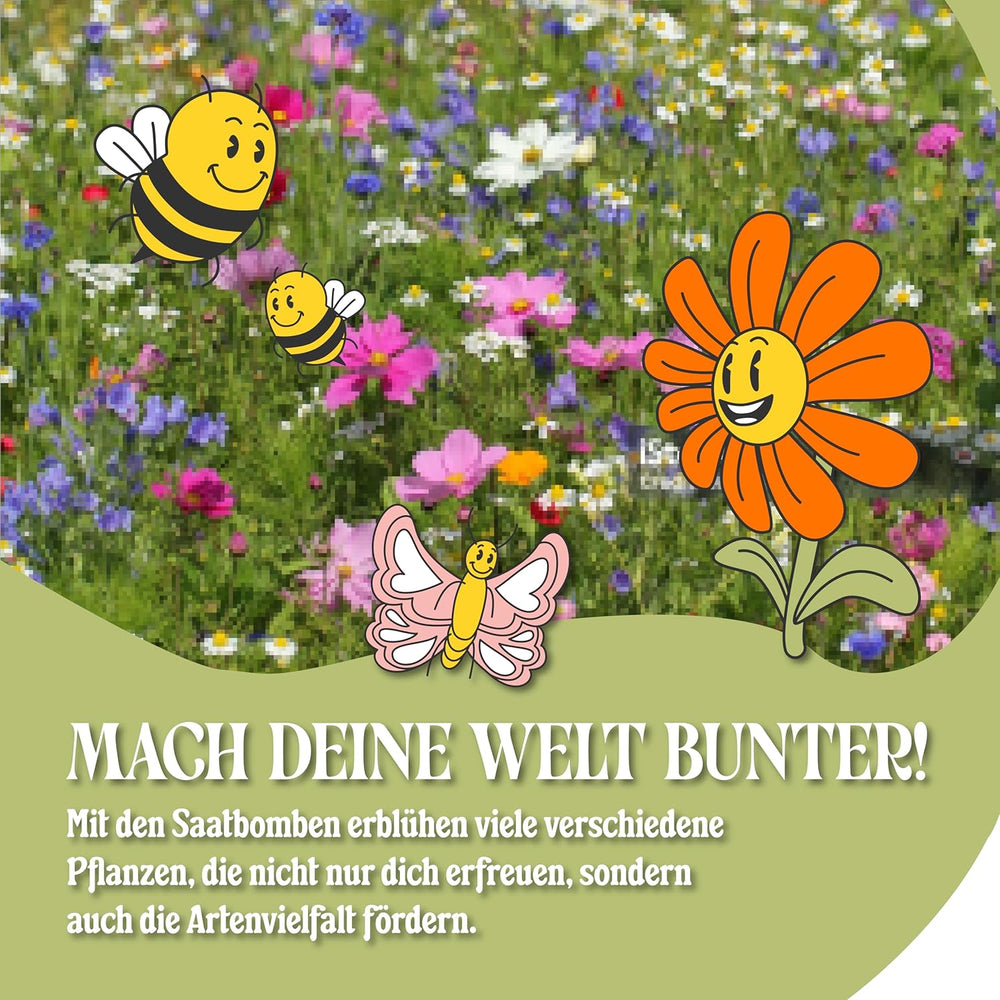 LouMaxx Ensemble de bombes de graines faites à la main 10 x 3, cadeau de bombe de graines, graines de fleurs comme cadeaux de fête, graines durables pour cadeaux de fête d'enfants, boules de jardinières respectueuses de l'environnement avec plus de 50 types de graines de fleurs