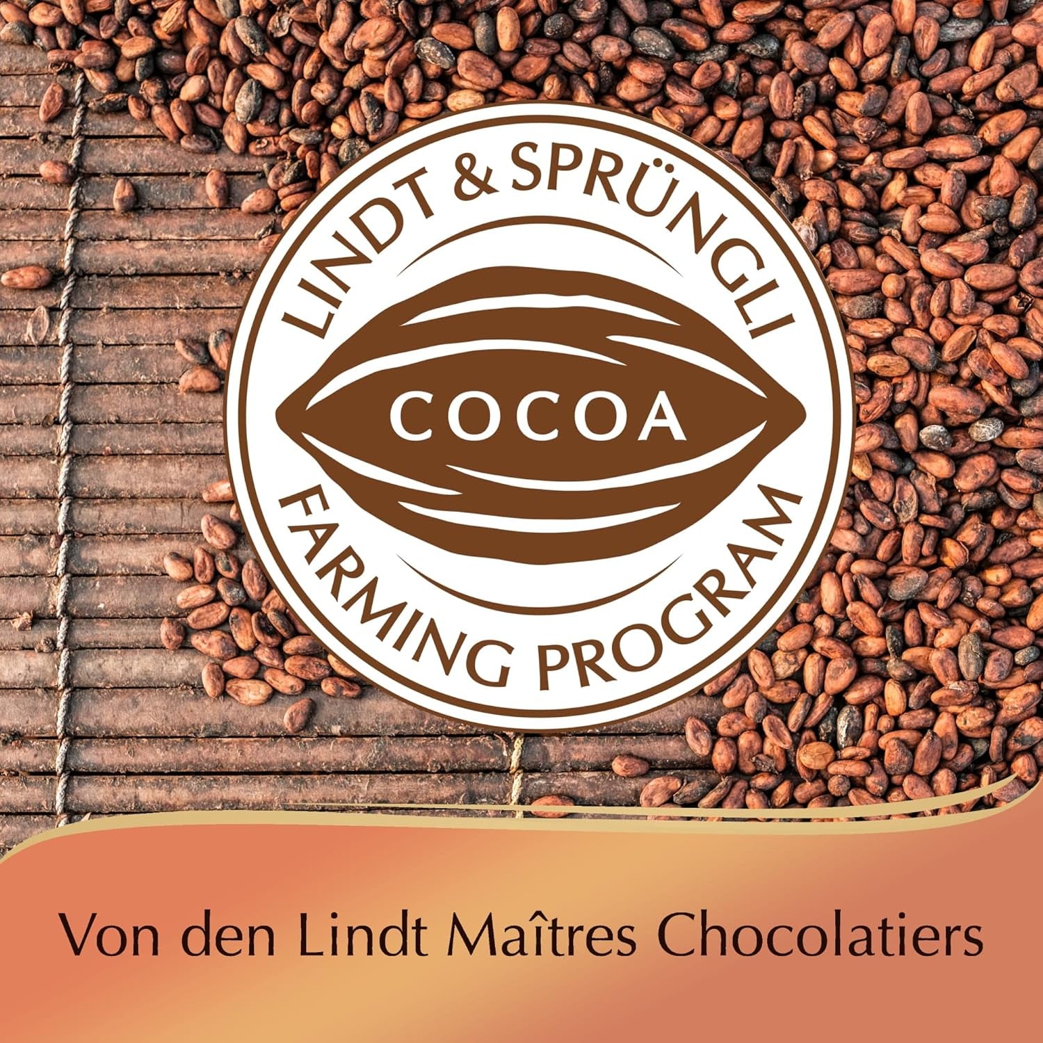 Chocolat Lindt | Coffret Praliné Créole | 100g | 9 pralines réparties en 4 délicieux assortiments, à base de cacao 100% fin, sans alcool | Coffret chocolat