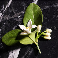 JOOP! Homme, Gel de duș pentru bărbați, parfum oriental-floral-lemnos, 150 ml Duș și baie Naty Shop