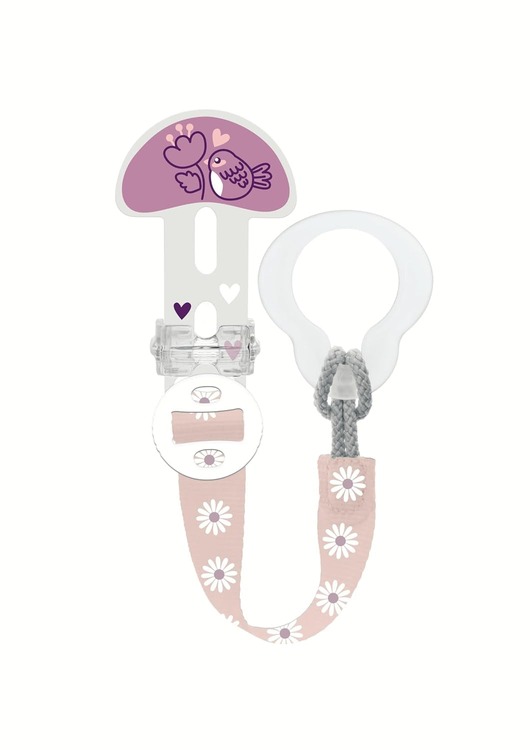 Mélange de succulentes MAM pour tous âges - couleur aléatoire - notice en français.