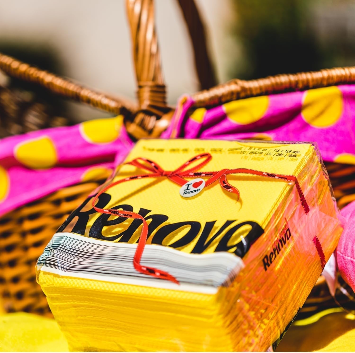 Serviettes en papier Renova, 70 pièces, 128 Go