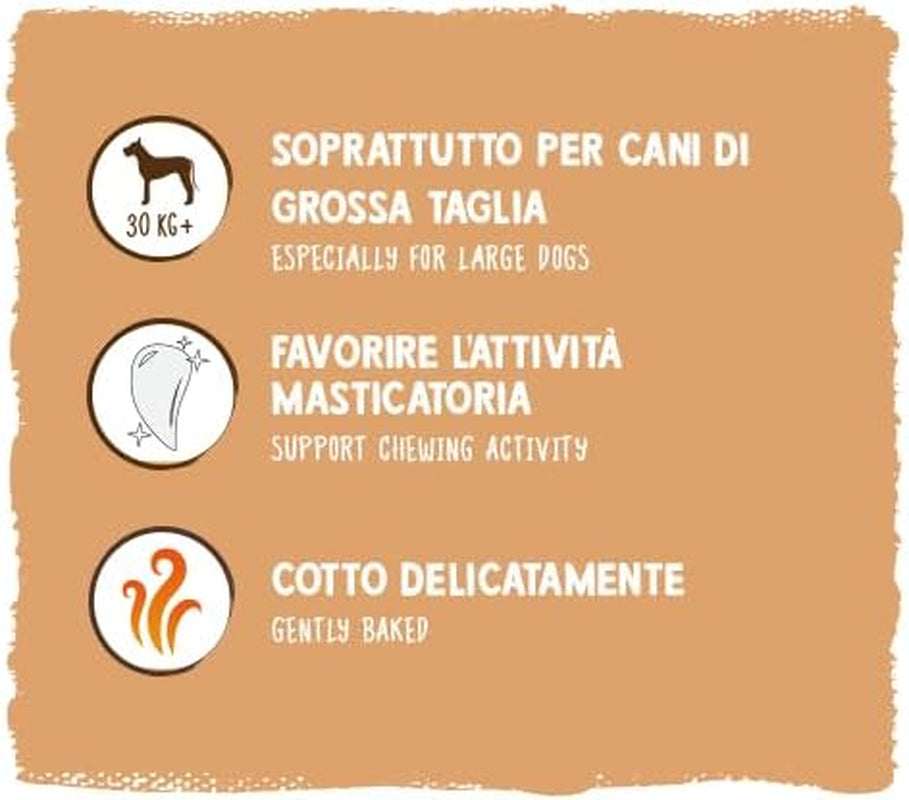 Pièces de monnaie Muesli de Sammy | Collations croustillantes au four pour chiens | 5 pièces de muesli aux céréales pour votre grand ami à quatre pattes (30 kg+) | 1kg