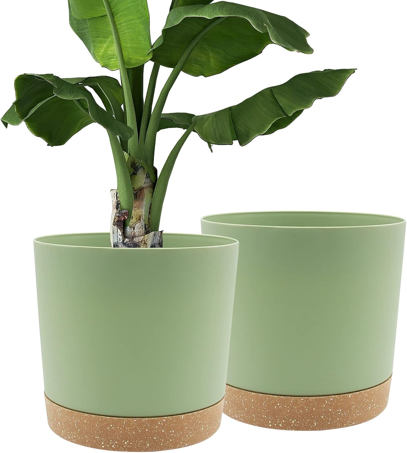Lot de 2 pots de fleurs de 12,7 cm, pots de fleurs d'intérieur avec trous de drainage et base amovible, soucoupes décoratives modernes pour jardinières d'extérieur (blanc 12,7 cm)