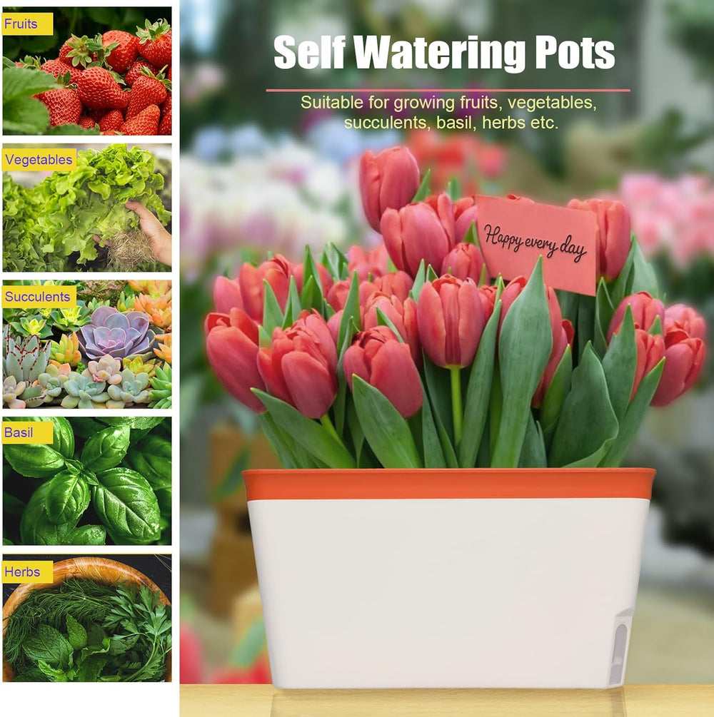 Pots de fleurs à arrosage automatique, lot de 3, pots de fleurs rectangulaires de 27 cm, pots à herbes, boîtes de rebord de fenêtre avec réservoir d'eau, pots de fleurs modernes en plastique pour intérieur et extérieur, jardin, bureau