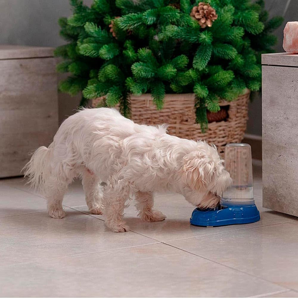 Ferplast Futter- oder Wasserspender für Hunde und Katzen AZIMUT 600 Futtertrog Water 0,6 Litre, Rutschfester Boden, 12,5 x 19 x H 19,5 cm Bleu