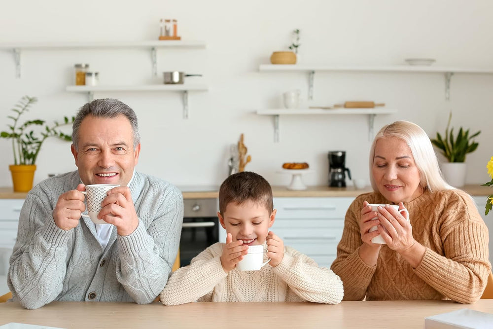 Babcia Jagoda - Ceai de fructe „Fruchtige Verführung” - 20 pliculețe de ceai - Cu hibiscus, măr, aronia, mure, măceșe, coajă de portocală - Aromă intensă de fructe, fără cofeină, vegan, natural, Cay - 40G