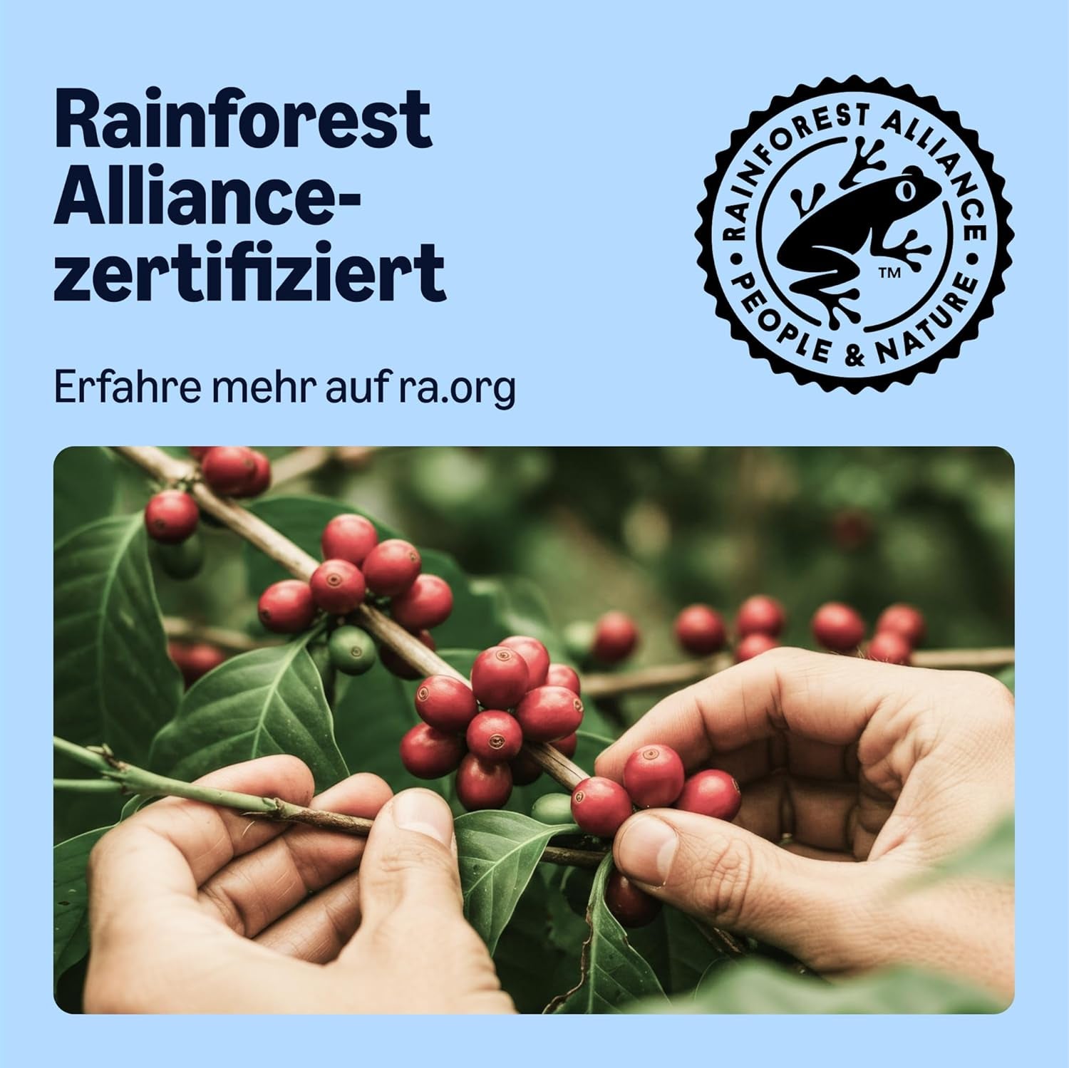 by Amazon Entkoffeinierte 100% Arabica-Kaffeepads, geeignet for Senseo-Maschinen, medium Röstung, 36 Stück (1 Packung mit 36 ​​​​Stück) – Rainforest Alliance certifié