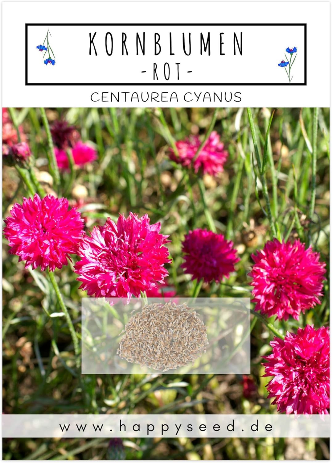 Kornblumen Samen (Centaurea Cyanus) - Wunderschön Leuchtende Blumen Mit Langer Blütezeit Für Eine Bunte Blumenwiese (Rot, 1000 Korn, 80 Cm)