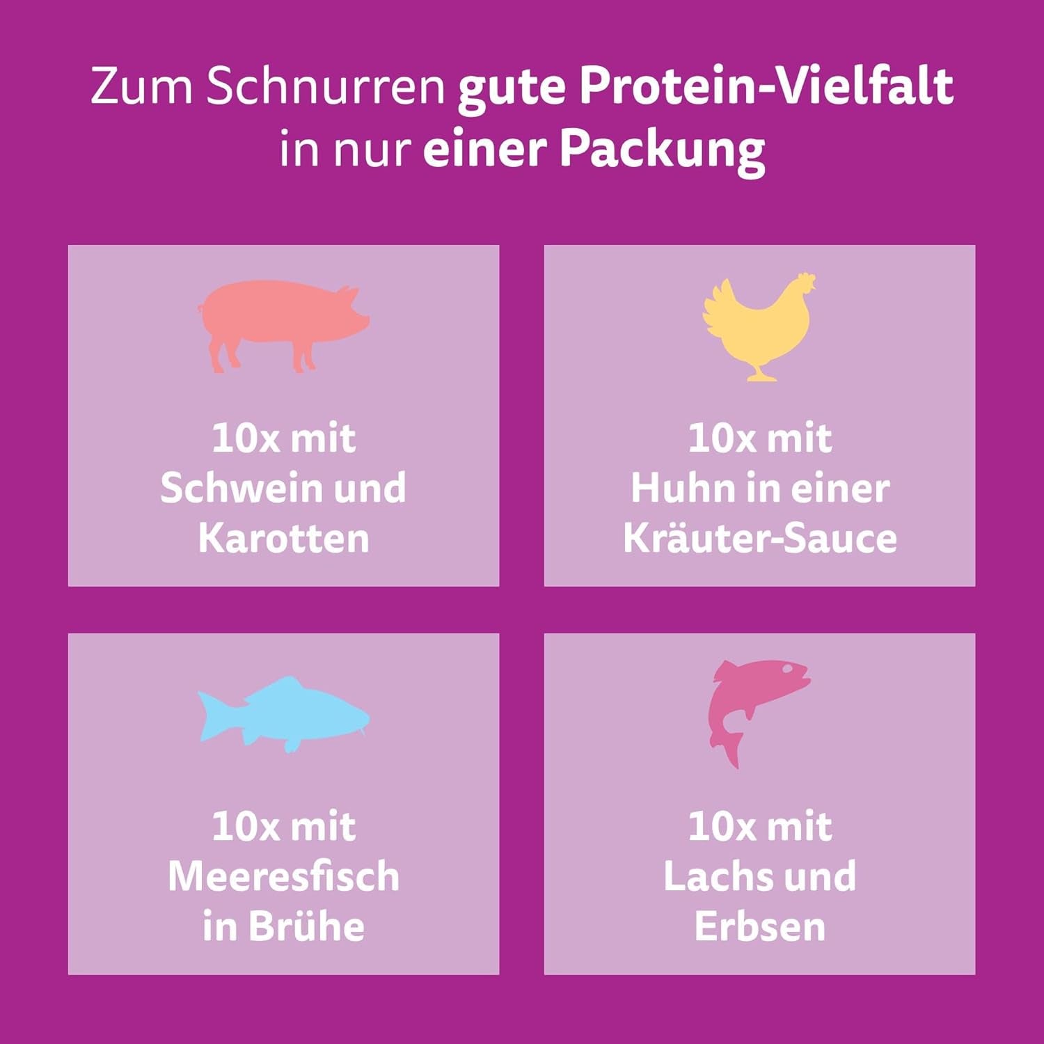 WHISKAS Hrană umedă aromatică pentru pisici în sos 40 x 85g Selecție de pește
