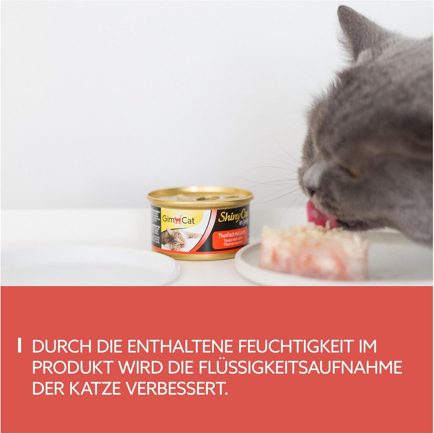 GimCat ShinyCat in Jelly Thunfisch mit Lachs - Nassfutter mit Fisch und Taurin for Katzen - 24 Dosen (24 x 70 g)