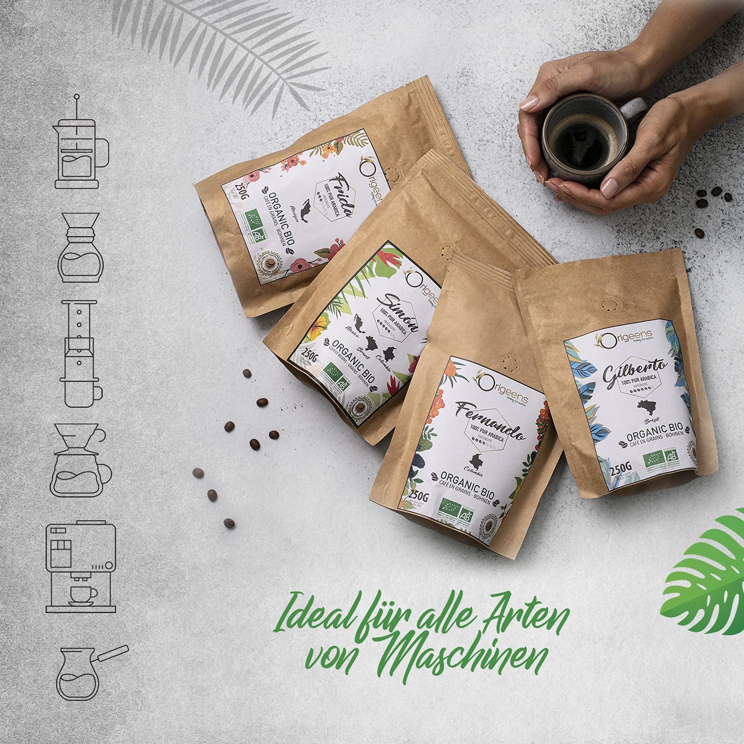 ORIGEENS Bio Kaffeebohnen Probiersset 1kg | Premium Bio Arabica Café Ganze Bohnen Set 4x250g | Röstung traditionnel | Ensemble de cafetières à café