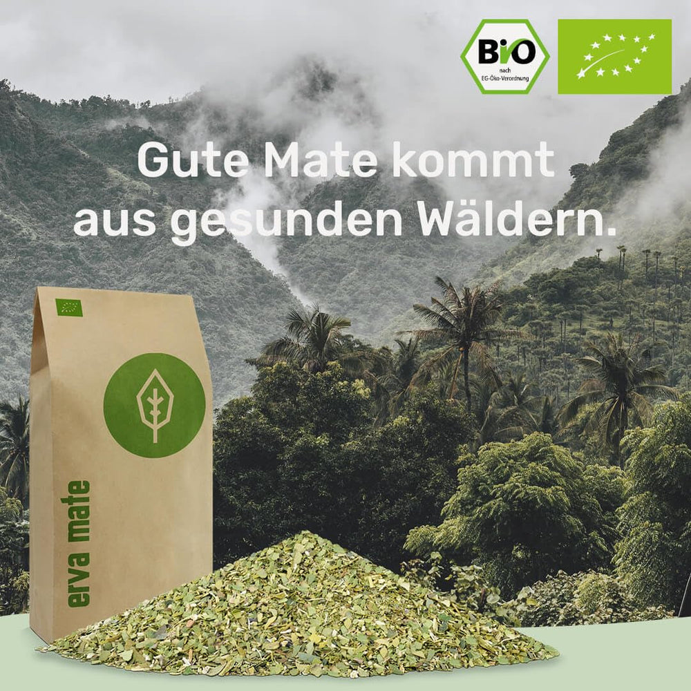 Thé Mate BIO 1KG ● Frais et vert ● Yerba Mate original ● Séché à l'air ● Sans fumée ● Sans plastique ● Commerce équitable ● Thé maté à base de feuilles de maté, de branches de maté et de poudre de feuilles de maté ● DE-ÖKO-006