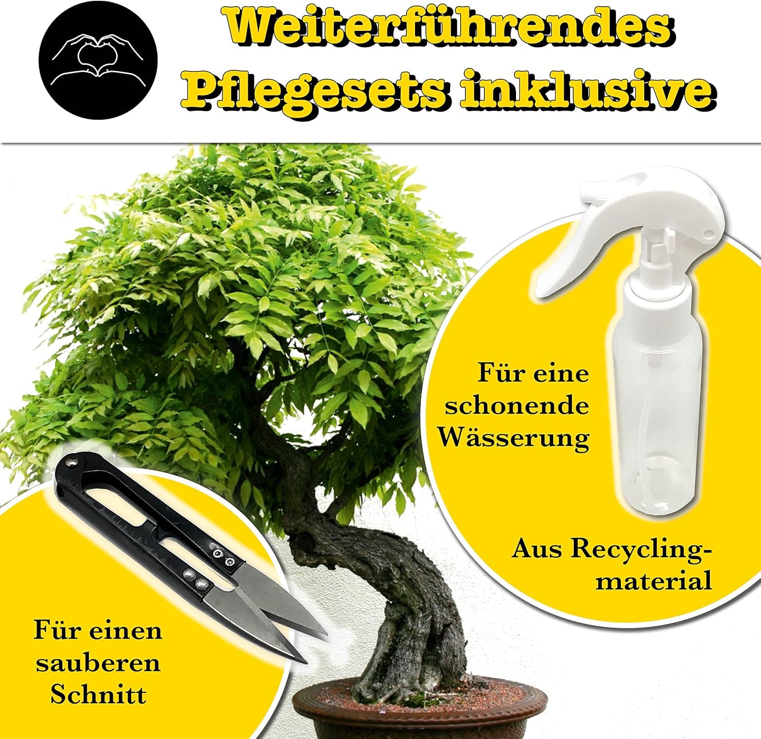 Bonsai Anzuchtset Von Growbro - ZÜCHTE DEINEN EIGENEN BONSAI BRO, Bonsai Starter Kit Inkl. Samen, Sprühflasche, Uvm.