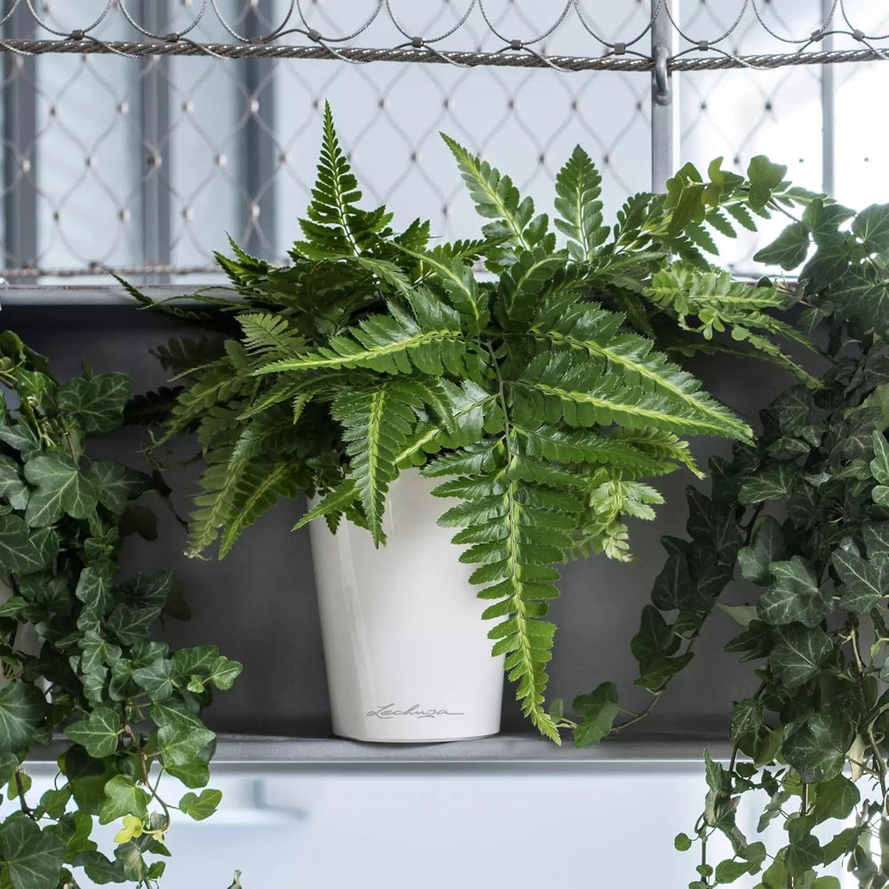 LECHUZA DELTINI blanc brillant 14900