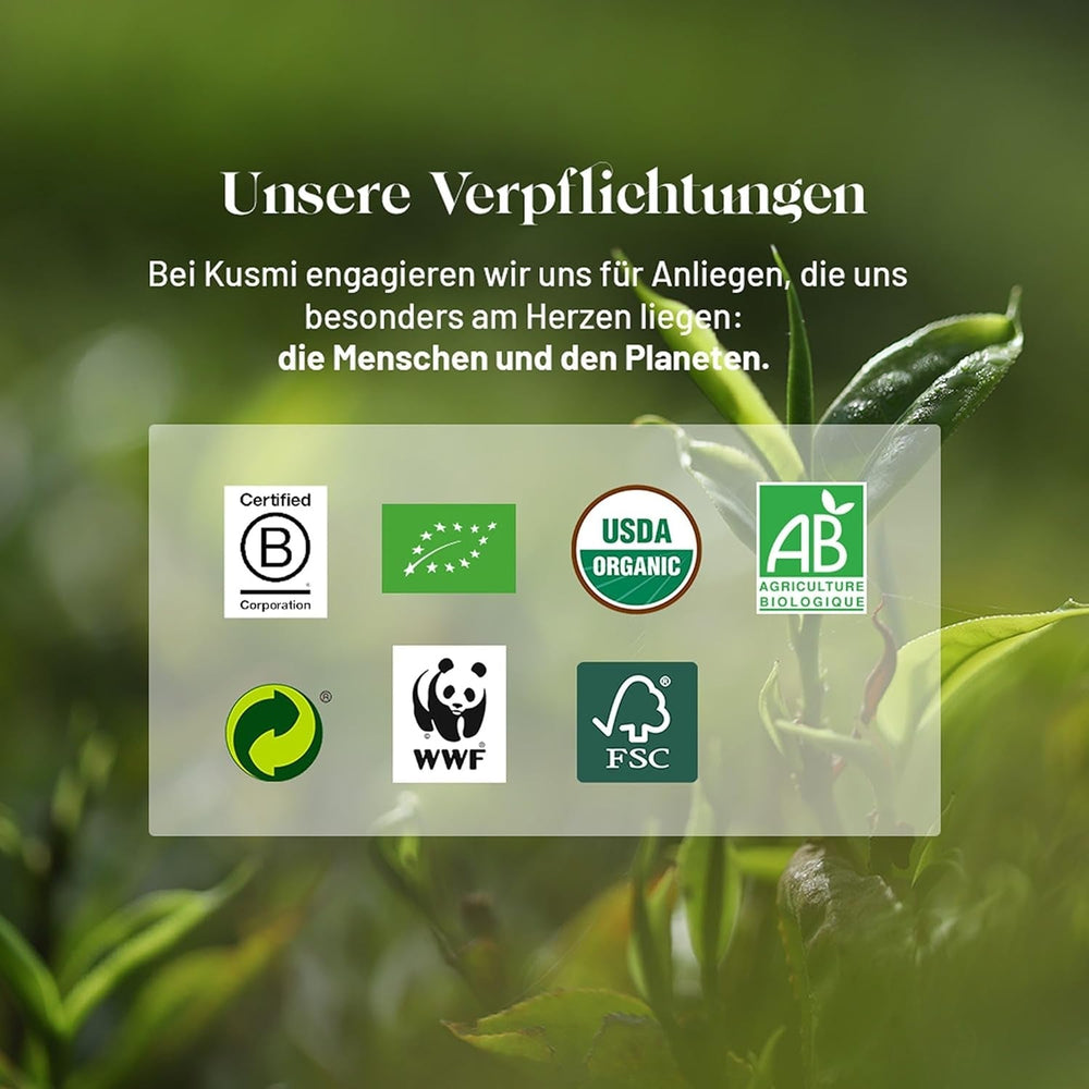 Kusmi Tea - Sweet Break - Ceai vrac organic cu hibiscus, plante și fructe - Aromă de fructe roșii și biscuiți - Ceai de fructe fără cofeină - Ceai vrac - Cutie metalică de 100 g pentru aproximativ 50 de cești