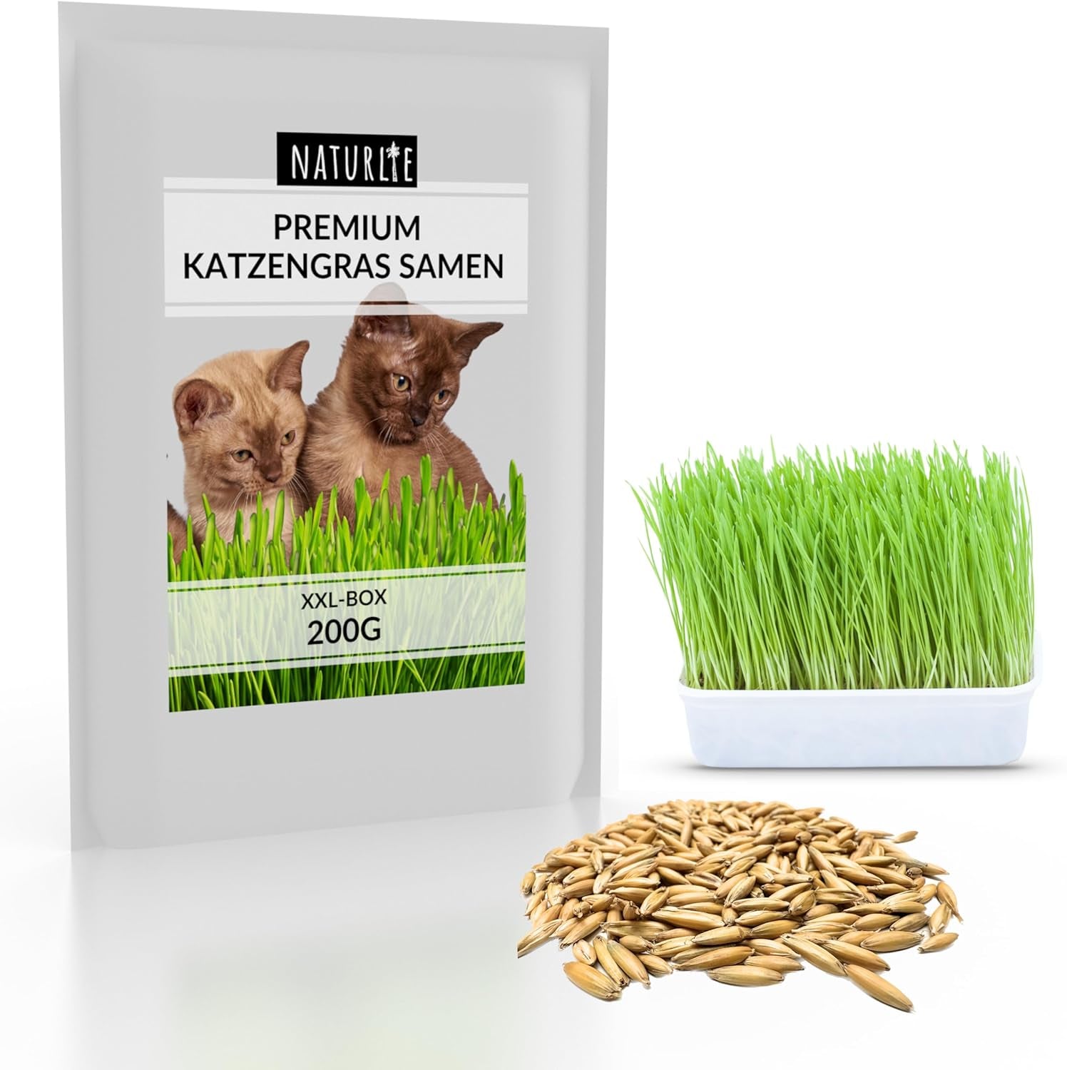 XXL 200G Premium Katzengras Samen Set: Saatgut Für 80 Töpfe Fertiges Katzengras - Saatgut Für Eine Sanfte/Weiche Katzenwiese - Premium Saatgut Für Deine Katze
