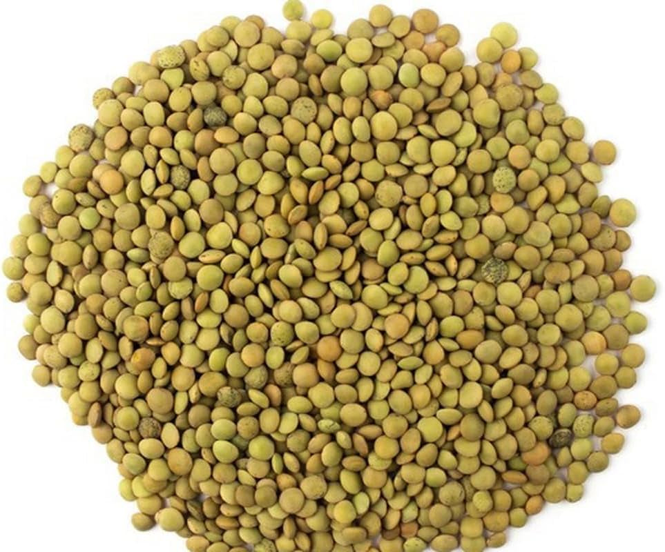 Lentilles vertes – variété Laird, paquet de 1 kg | Lentilles entières de qualité supérieure | Riche en protéines et fibres | Végétalien, sans OGM | Idéal pour les soupes, les salades, les currys et la préparation des repas