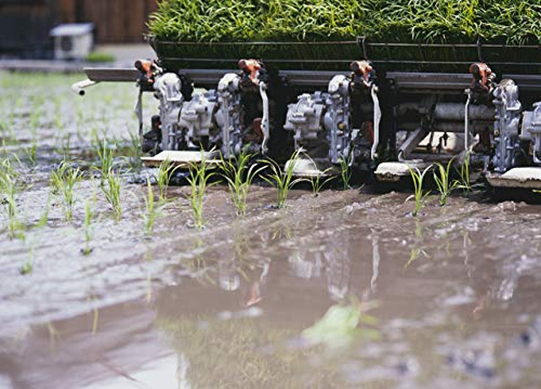 Riz à sushi AKAFUJI, Akitakomachi, 5000 g
