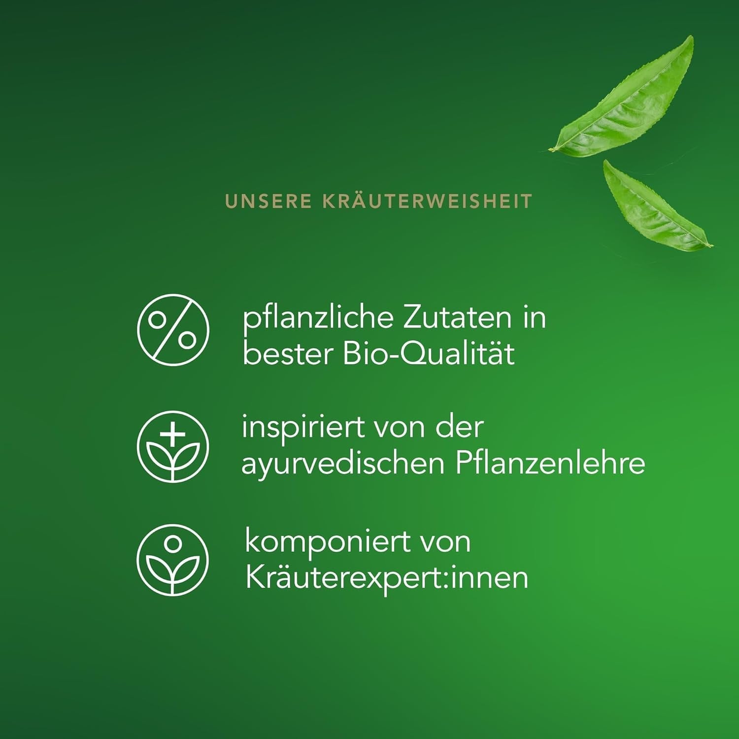 Sachets de thé vert Pukka Matcha : thé vert énergisant au matcha