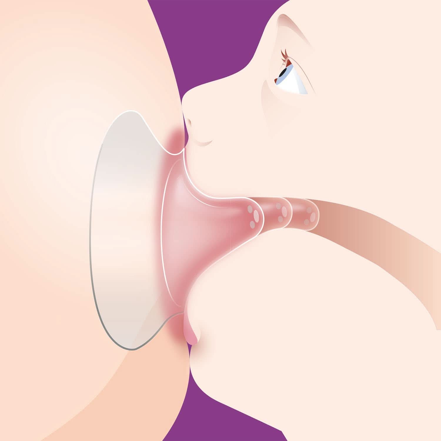 Protection tétine Philips Avent (modèle SCF153/03) Accessoires Alimentation et Allaitement Bebe Naty Shop