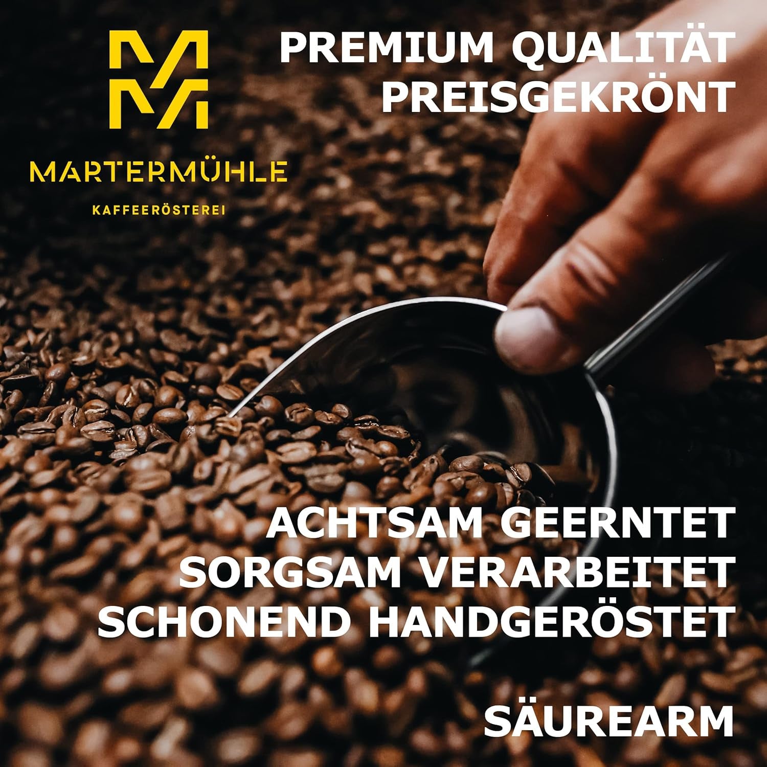 Martermühle Aßlinger Mischung Kaffeebohnen 1kg I Arabica I Saveurs : Haselnuss, Leichte Würze, Schokolade I Ganze Kaffee-Bohnen schonend geröstet, säurearm