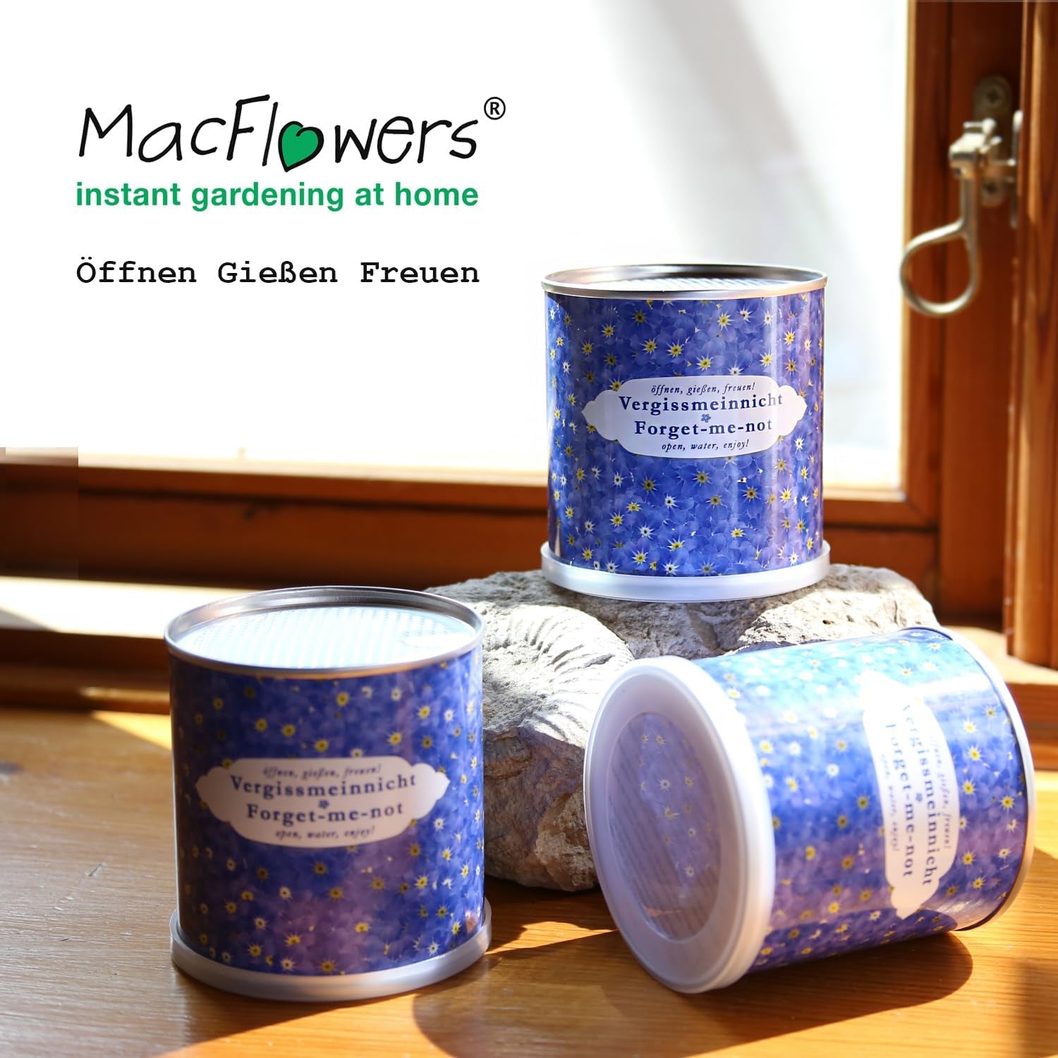 Ne me regarde pas dans un bac à fleurs | Kit de croissance comme cadeau spécial | Ouvrir, arroser, profiter | Pour au revoir ou en guise de remerciement