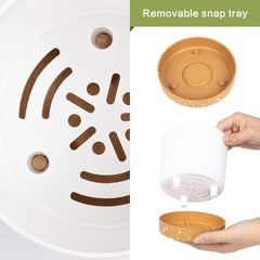 Lot de 2 pots de fleurs de 12,7 cm, pots de fleurs d'intérieur avec trous de drainage et base amovible, soucoupes décoratives modernes pour jardinières d'extérieur (blanc 12,7 cm)