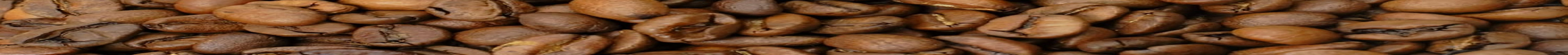 Café Arabica mexicain Procurador 1000g