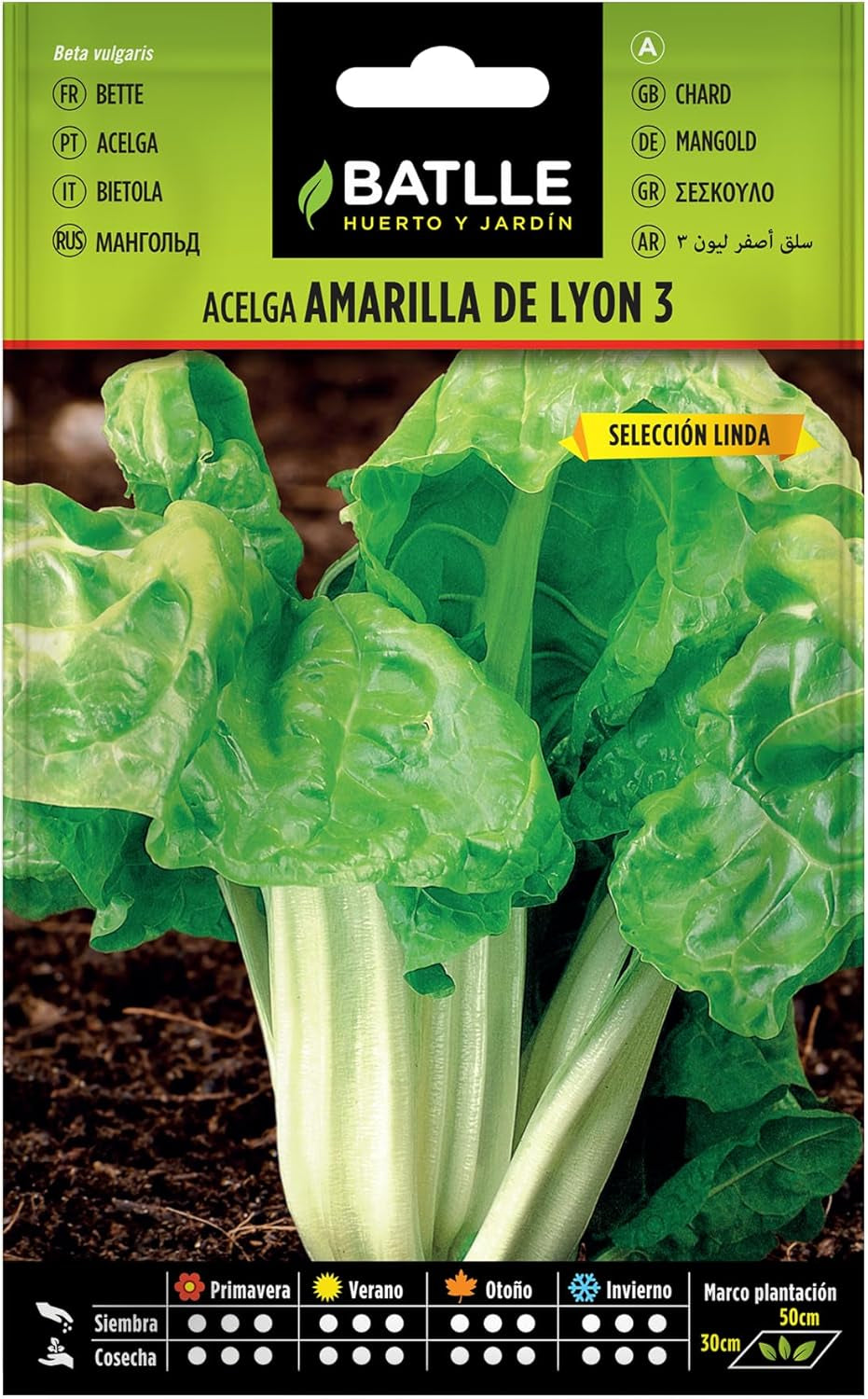 Batlle Gemüsesamen - Gelber Mangold Lyon Linda 3 (600 Samen)