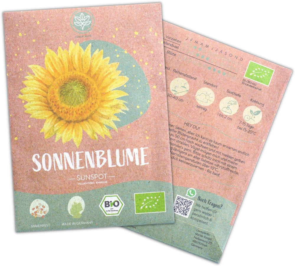 Graines de tournesol biologiques, ramifiées, 20 graines de tournesol à taux de germination élevé, graines de tournesol pour le jardin, le balcon, le parterre de fleurs ou comme cadeau d'invités. Graines de fleurs pollinisées gratuites.