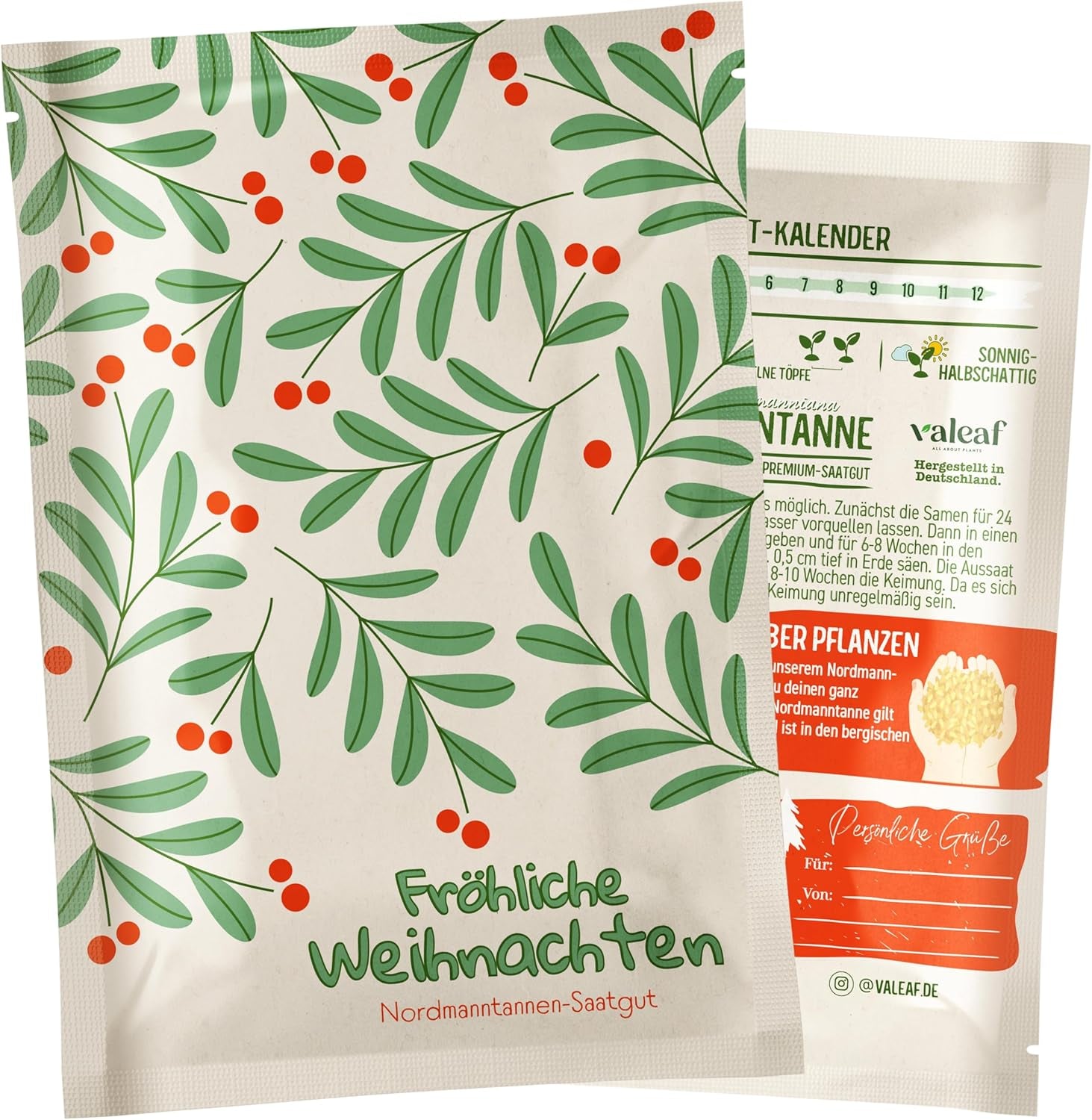 Sapin de Noël 2030 - Graines d'arbre de Noël Nordmann pour planter un sapin de Noël, idéales comme cadeau de Noël Secret Santa