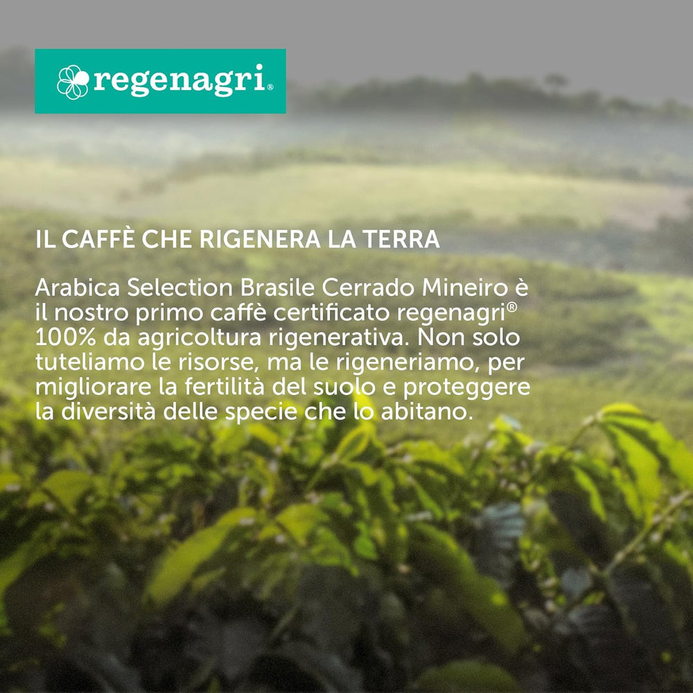 Café en grains Illy Arabica Selection Brésil, 250 g