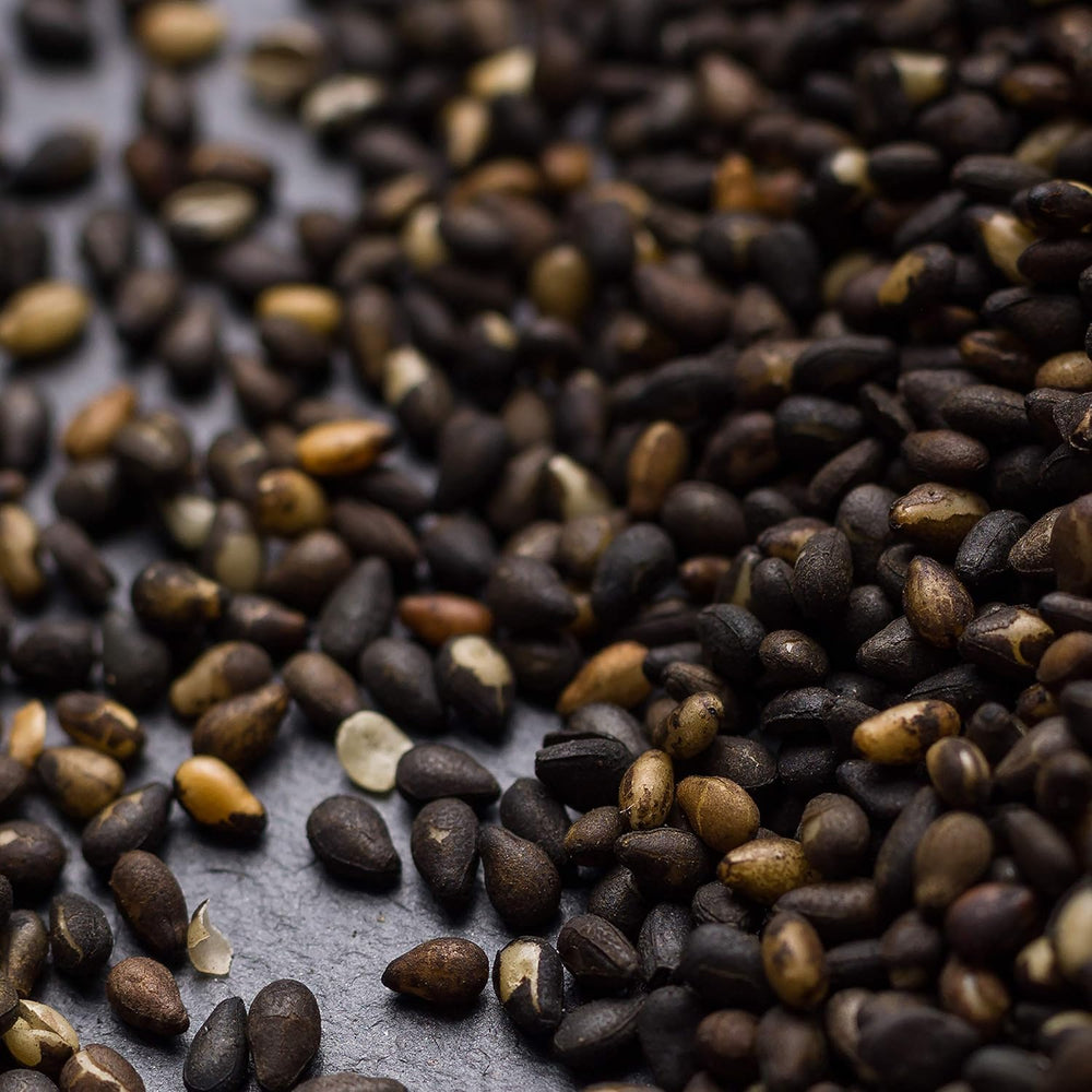 - Gerösteter schwarzer Sésame 150g | Offre de ballast | Sources de protéines végétaliennes | Arôme Reiches | Antioxydant | Simple streuen