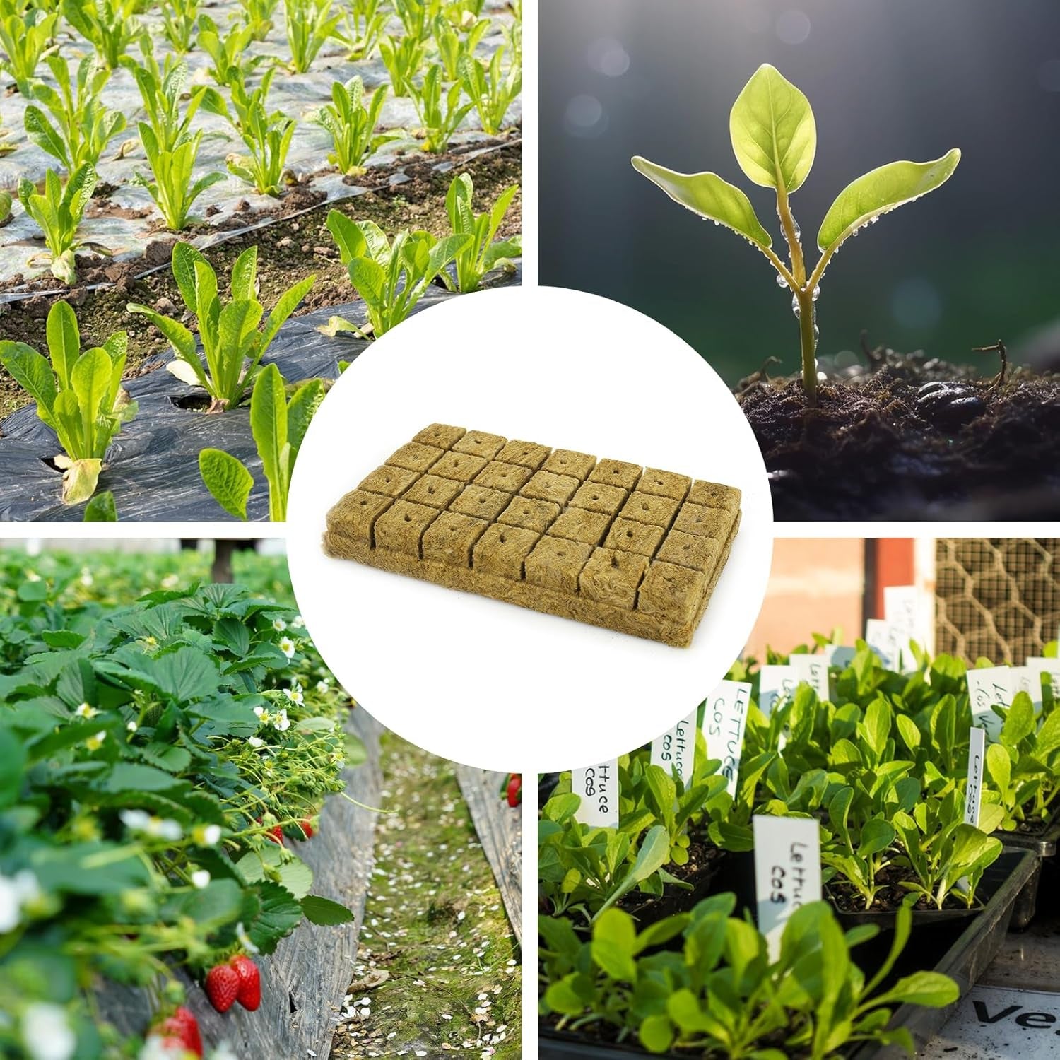 28 cubes de laine de roche, ensemble de laine de roche, tapis de culture en laine de roche, tapis de culture hydroponique sans sol, cube de laine de roche, cubes de laine de roche pour boutures, clonage, propagation 4*4*4 cm