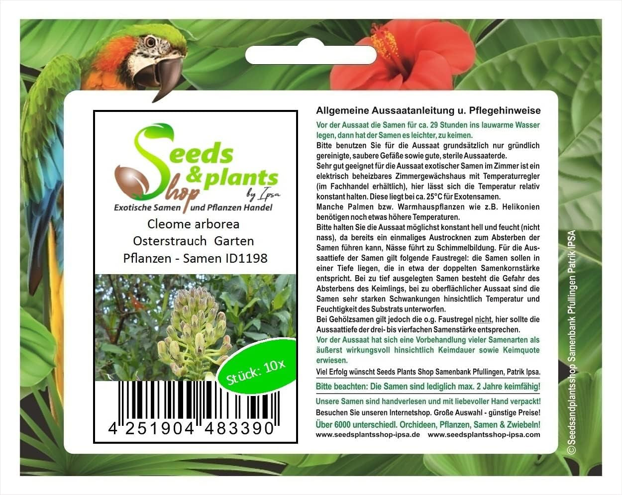 Stk - 10X Cleome Arborea Strauch Garten Pflanzen - Samen ID1198 -
