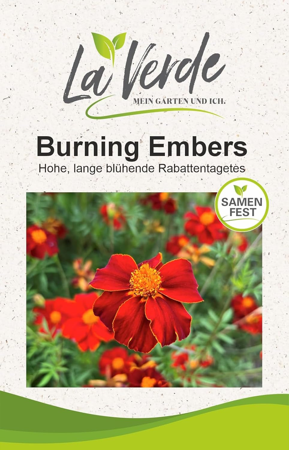 La Verde MON JARDIN ET MOI. Tagetes Bonita Mélanger les graines de fleurs pendant env. 100 plantes, soucis à longue floraison, fleurs doubles, graines sans OGM