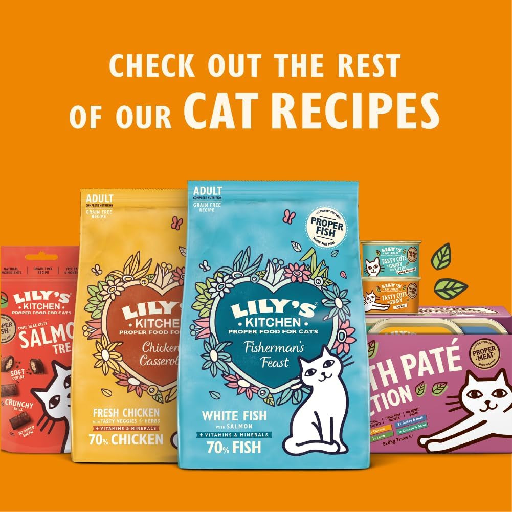 Hrană umedă naturală Lily's Kitchen pentru pisici adulte, la conservă, bucăți gustoase în sos cu pui, rețetă fără cereale (24 tăvi x 85 g)
