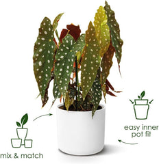 elho B.for Soft Round 14 - Ghiveci de flori de interior - Plastic 100% reciclat - Ø 13,8 x H 12,5 cm - Verde/Verde frunză