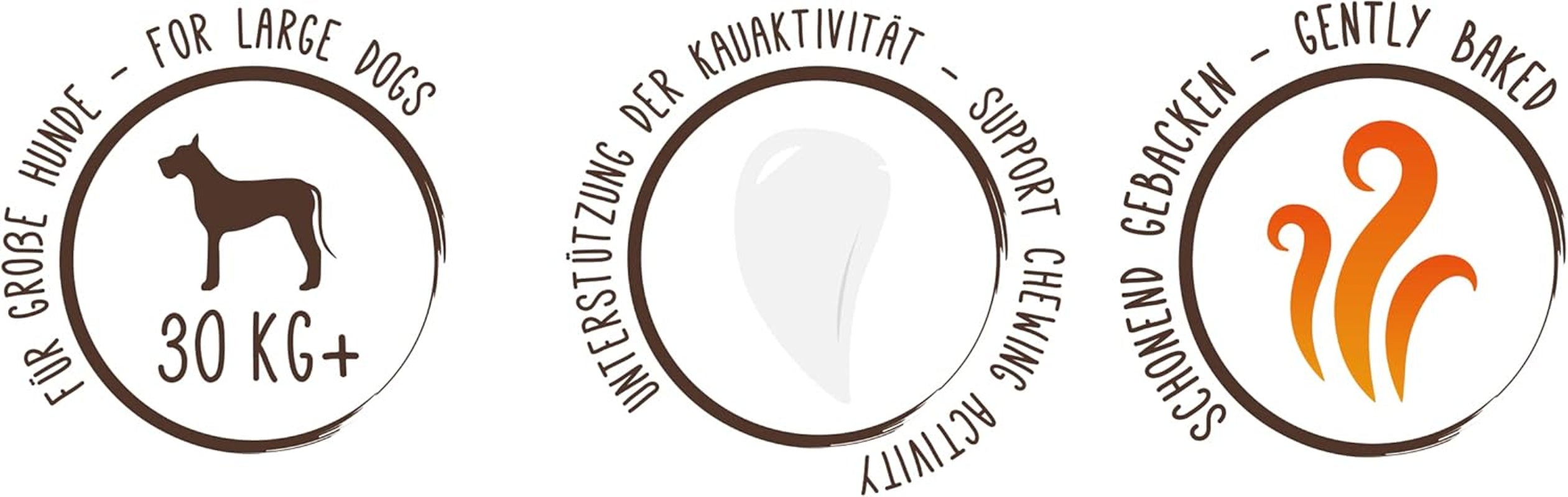 Pièces de monnaie Muesli de Sammy | Collations croustillantes au four pour chiens | 5 pièces de muesli aux céréales pour votre grand ami à quatre pattes (30 kg+) | 1kg