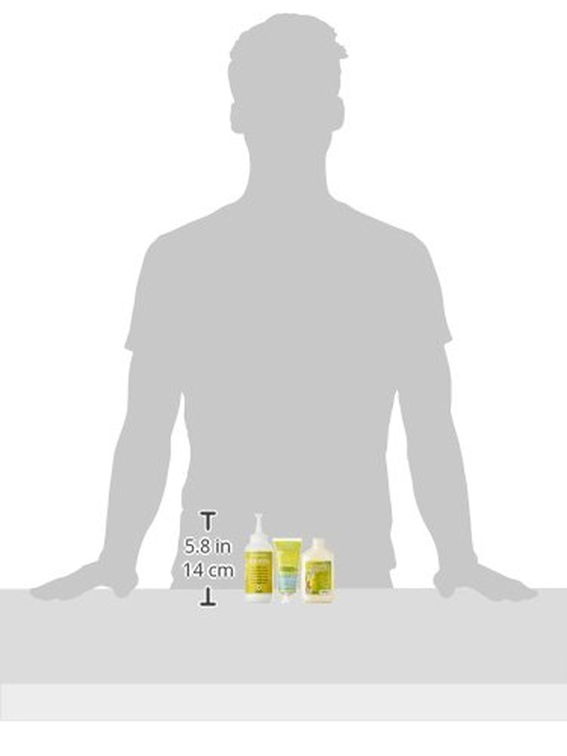 Garnier Nutrisse Permanent Care Hair Colour cu uleiuri hrănitoare din fructe, fixare 8 săptămâni, Ultra Crème Tint, 036 Black Cherry (pachet de 2) Vopsea pentru par Naty Shop