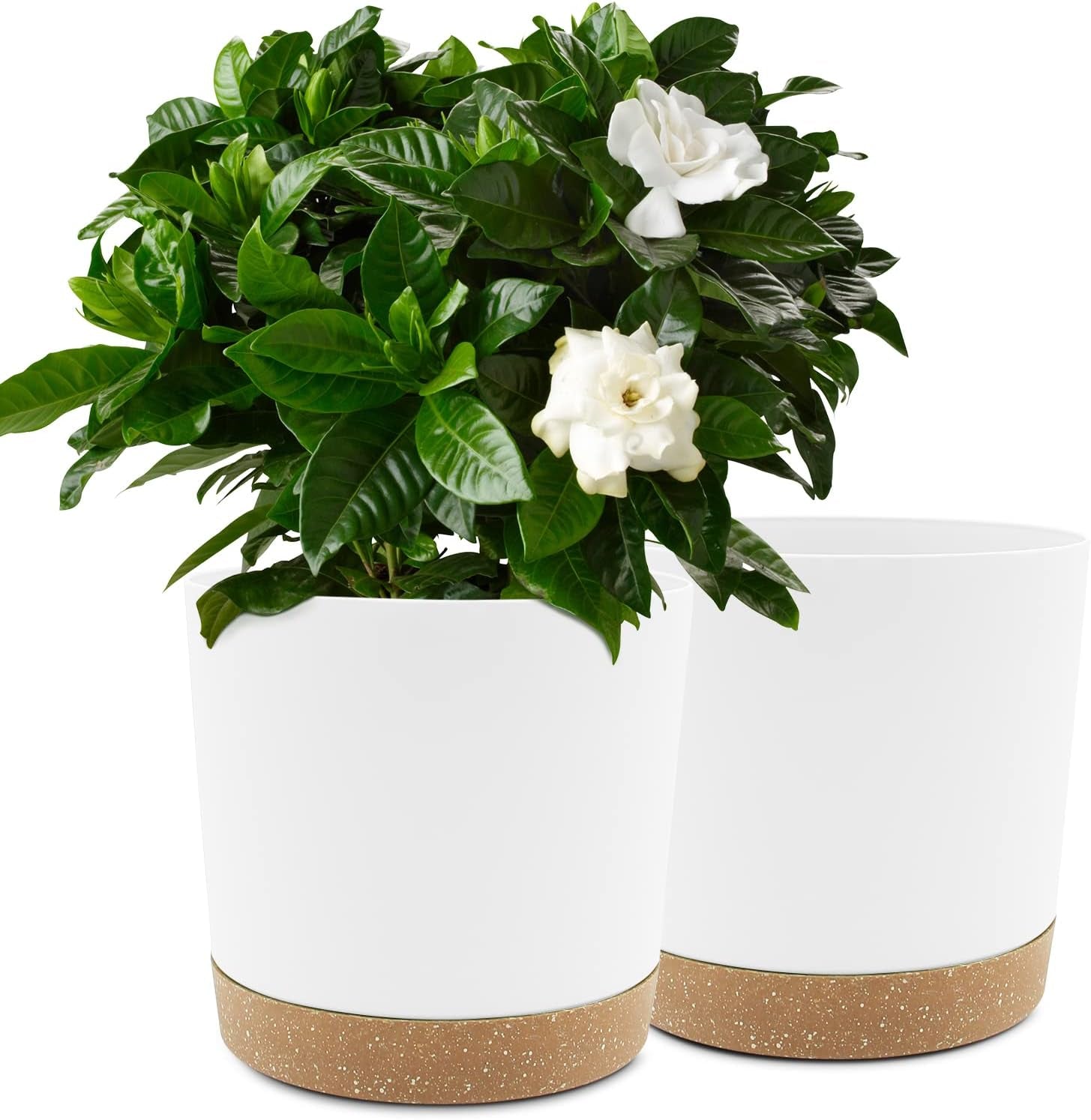 Lot de 2 pots de fleurs de 12,7 cm, pots de fleurs d'intérieur avec trous de drainage et base amovible, soucoupes décoratives modernes pour jardinières d'extérieur (blanc 12,7 cm)
