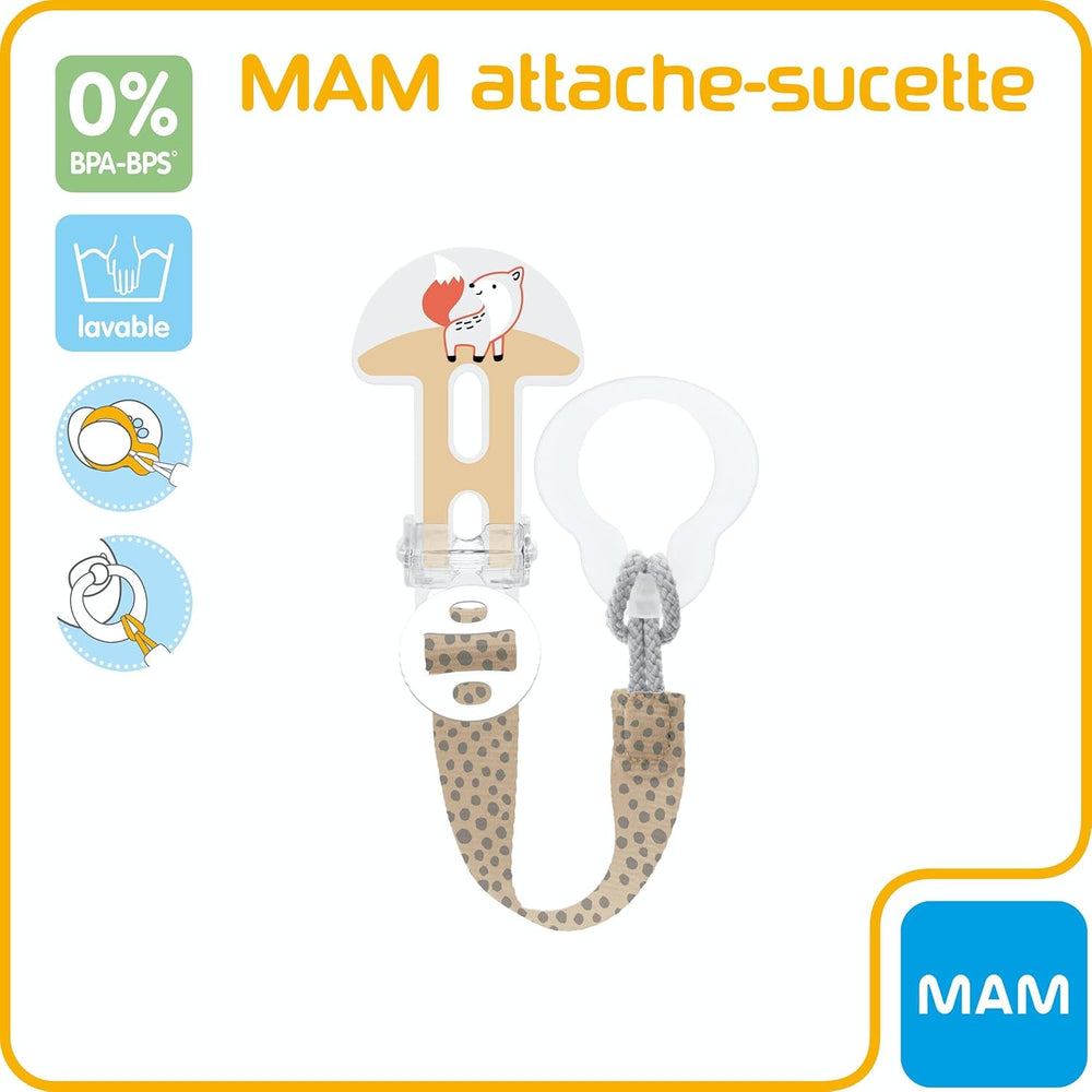 Mélange de succulentes MAM pour tous âges - couleur aléatoire - notice en français.