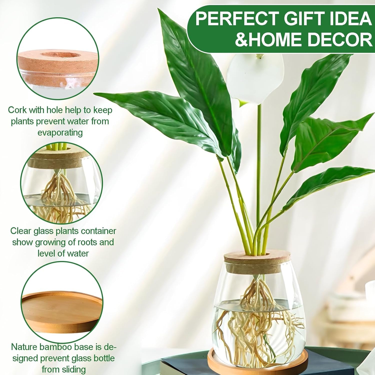 Station de culture de plantes hydroponiques 12x11 cm Vase de graines d'avocat Jardinière en verre Vase en verre hydroponique pour plantes aquatiques ou fleurs Décor de table de bureau 2 pièces