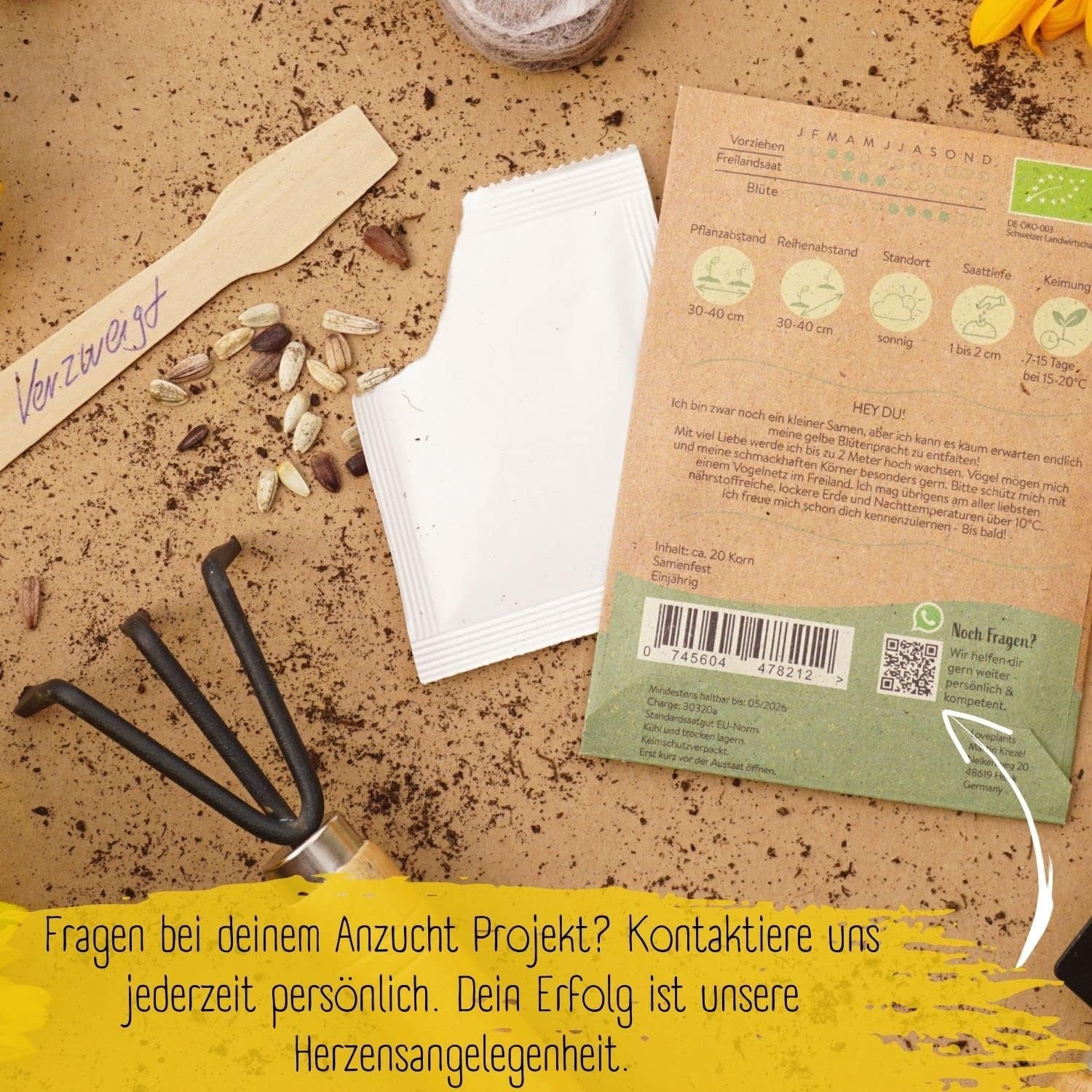 Graines de tournesol biologiques, ramifiées, 20 graines de tournesol à taux de germination élevé, graines de tournesol pour le jardin, le balcon, le parterre de fleurs ou comme cadeau d'invités. Graines de fleurs pollinisées gratuites.