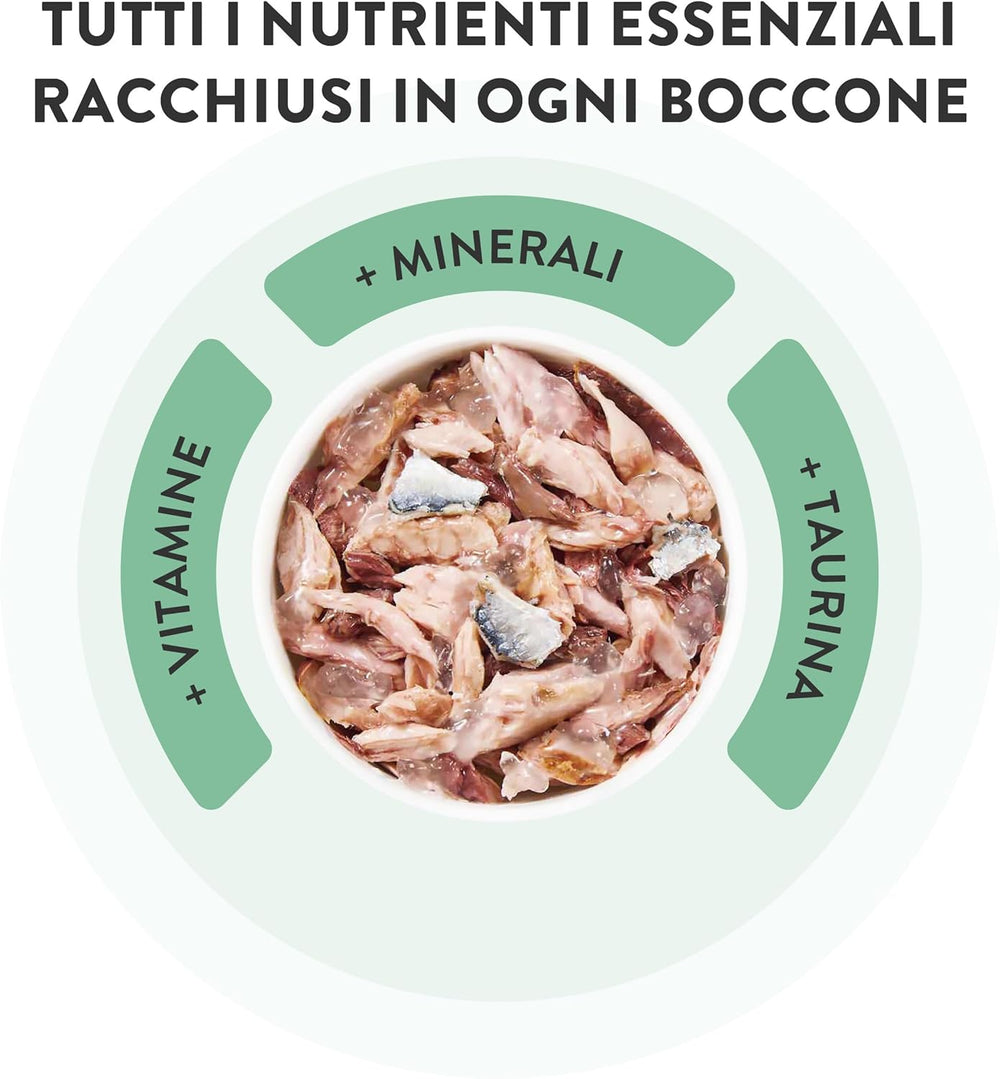 , Thon au poisson bleu en gelée, nourriture humide complète pour chat, en sachet, avec vitamines supplémentaires, 100% naturel, 6 x 85 g