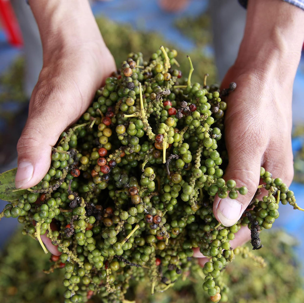 Spicebar Roter Kampot Pfeffer, Premium Auslese aus Kambodscha (1 x 70g)