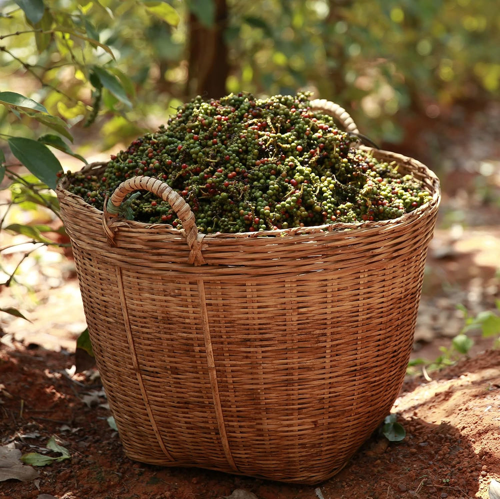 Spicebar Roter Kampot Pfeffer, Premium Auslese aus Kambodscha (1 x 70g)