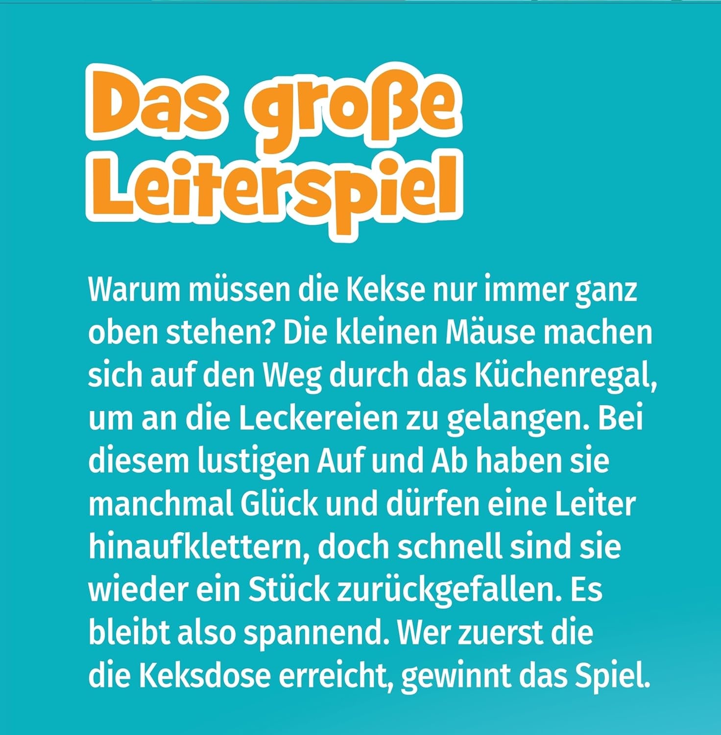 Schmidt Spiele 40553 Grand jeu d'échelle, jeu pour enfants, 52 x 36 cm