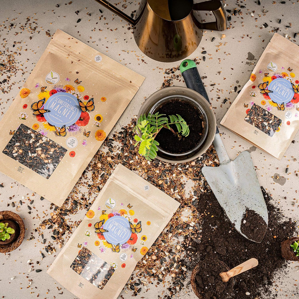 100 g de graines de papillon pour une prairie fleurie colorée – Mélange de graines de fleurs sauvages colorées et riches en nectar pour papillons