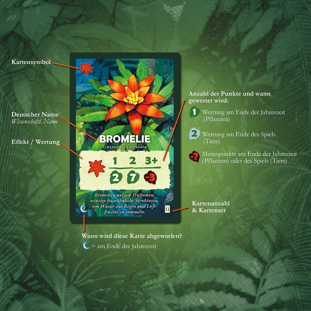 Kosmos 682194 Treetops, Under the Rainforest Canopy, jeu pour deux joueurs, jeu de société, jeu de société à partir de 10 ans sur la forêt tropicale, les arbres, les plantes et les animaux
